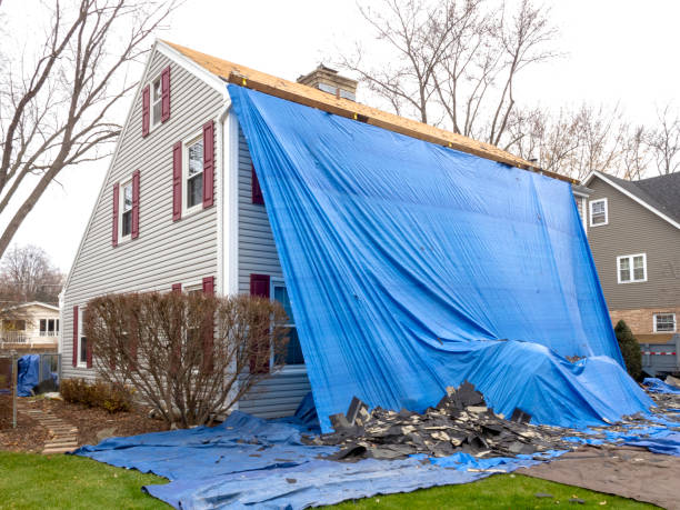 Best Basement Cleanout  in Marquette Heights, IL